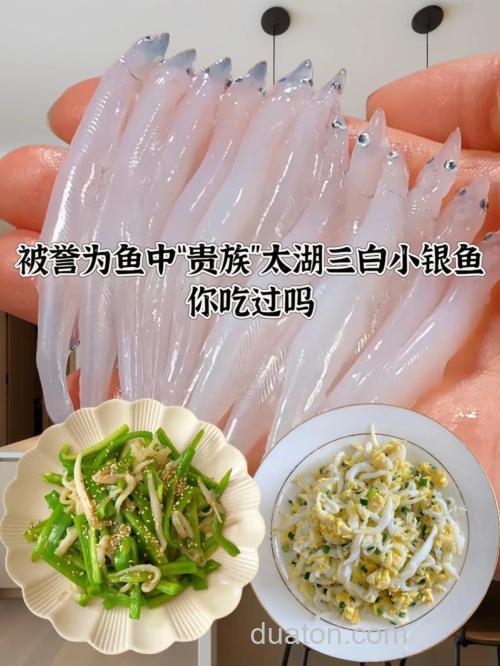 银太鱼丝做法？