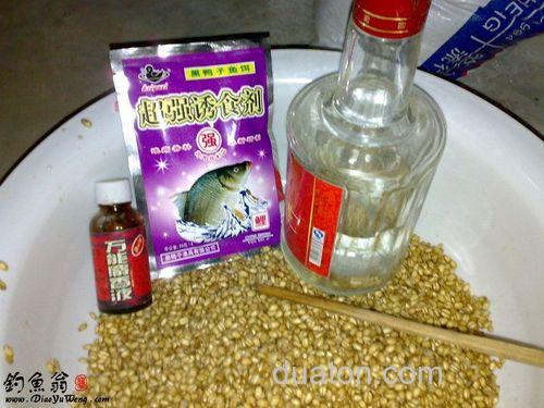 怎样泡麦子四季钓鱼效果好?