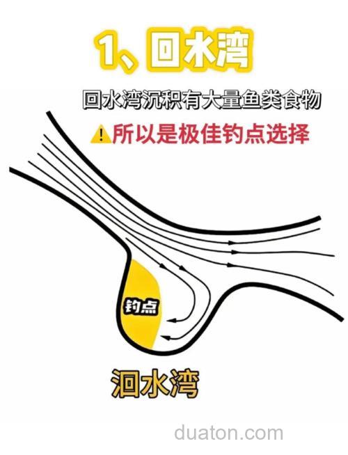 海钓观赏鱼指南:如何选择最佳钓点?掌握技巧,安全可持续