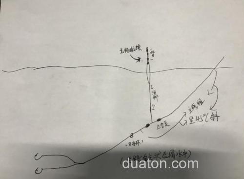 黑坑钓草鱼作钓思路