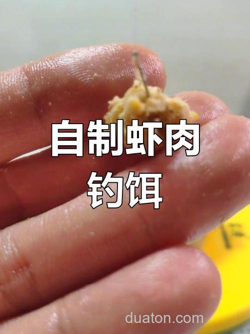 钓鱼用什么肉做饵最好?