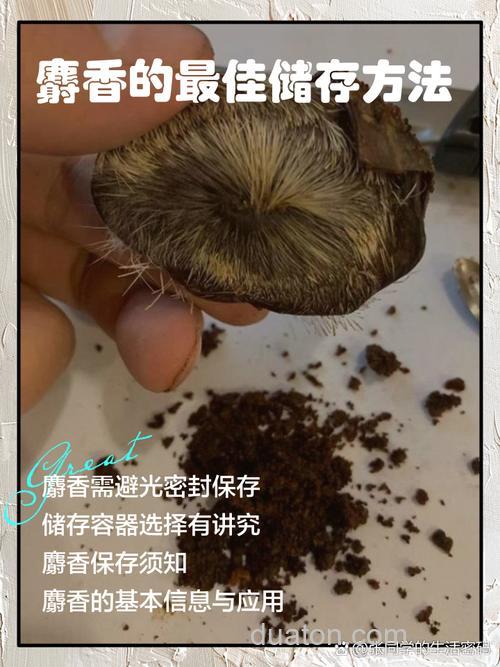 麝香米怎么用、、??