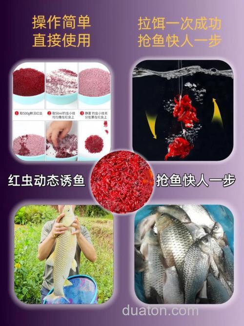 红虫主攻哪些鱼?