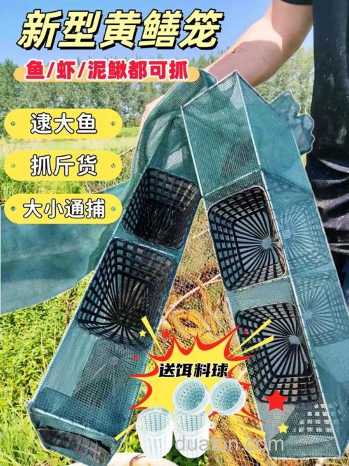 地笼捕鲶鱼用什么饵料？