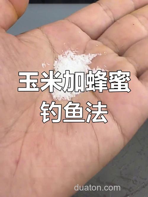 蜂蜜玉米钓草鱼怎么样?