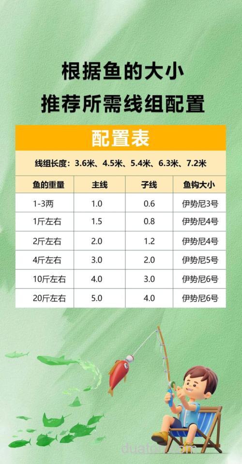 钓一到三斤的鲤鱼用多大的钩