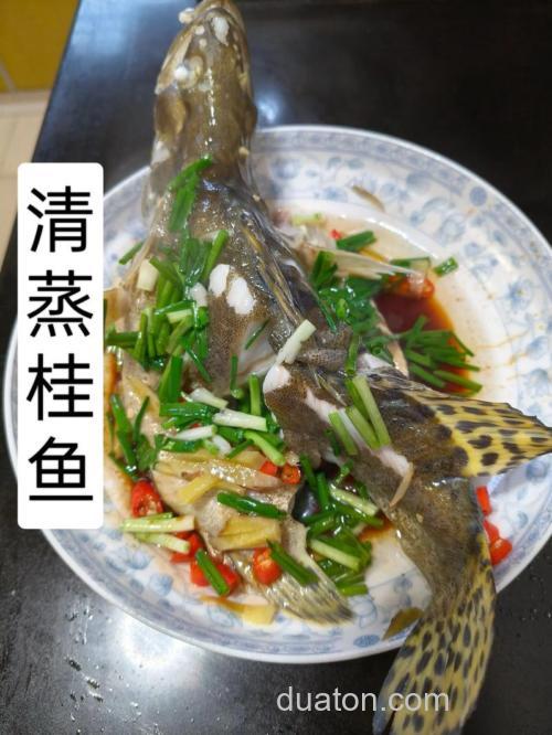 鳜鱼是淡水还是海水?鳜鱼的做法怎么做最好吃?