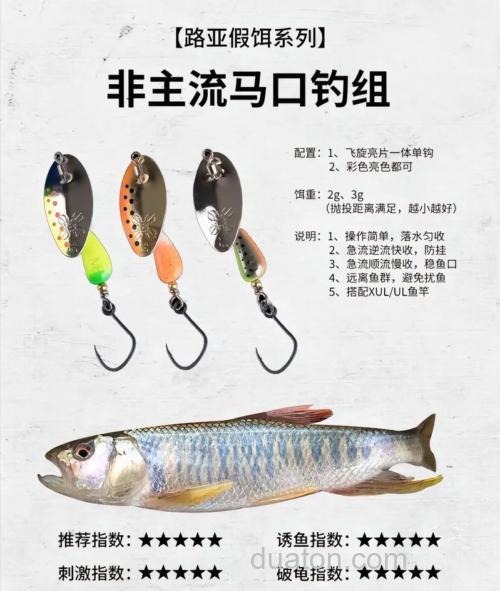 钓马口怎么钓?