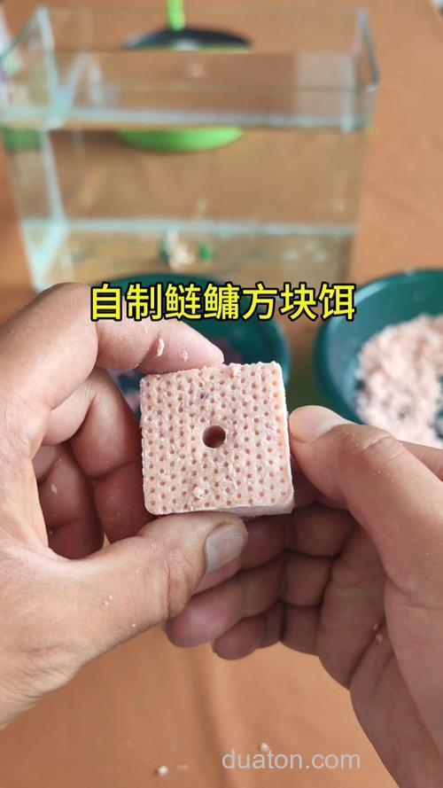 自制鲢鳙压饵方法?