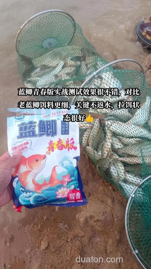 龙王恨的野战蓝鲫如何搭配使用？