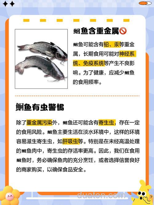 吃鱼方面的问题