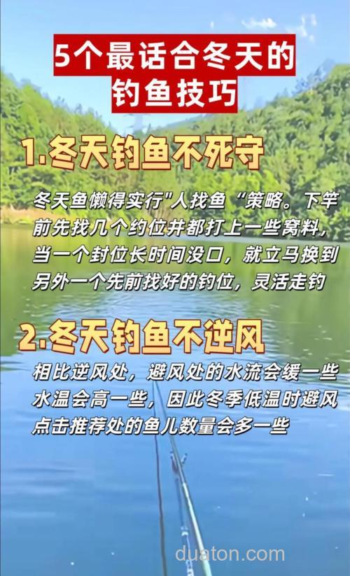 降温天气怎么钓鱼最佳?