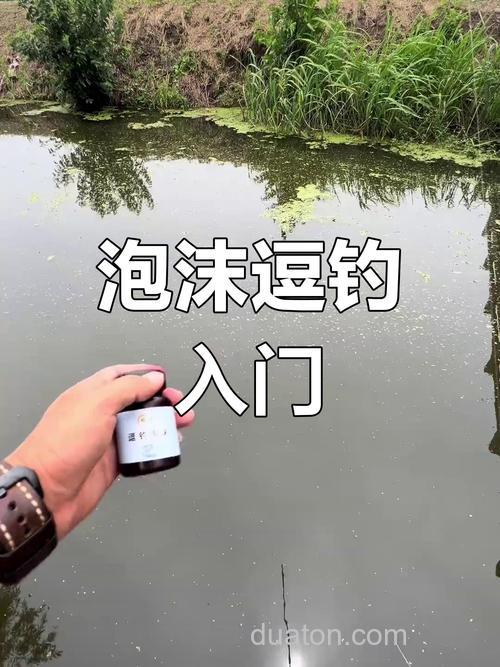 泡制小麦粒钓鲫鱼的方法?