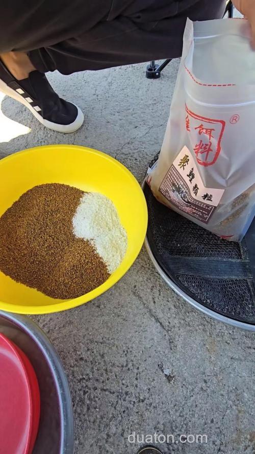 钓雄鱼的饵料?