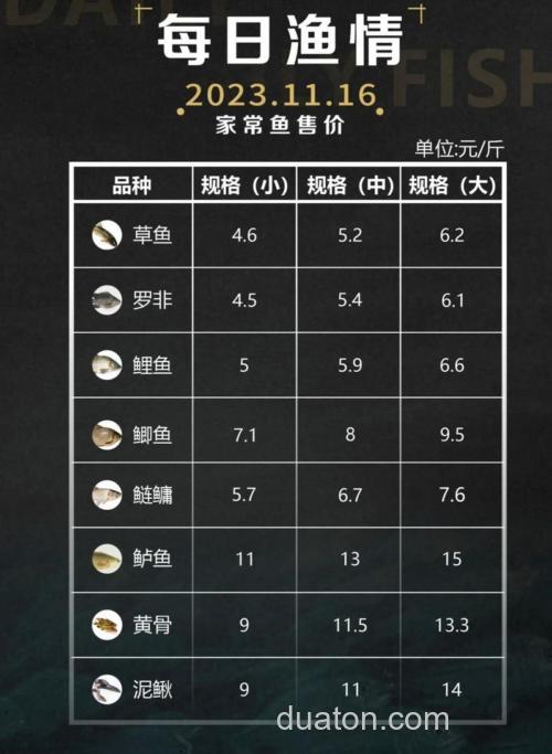 鲤鱼批发多少钱一斤