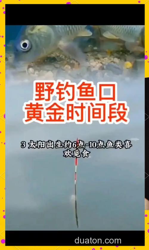 鲤鱼几天喂一次啊?食量多少?