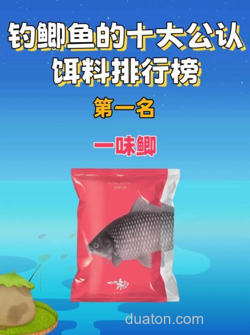 野钓鲤鱼公认饵料