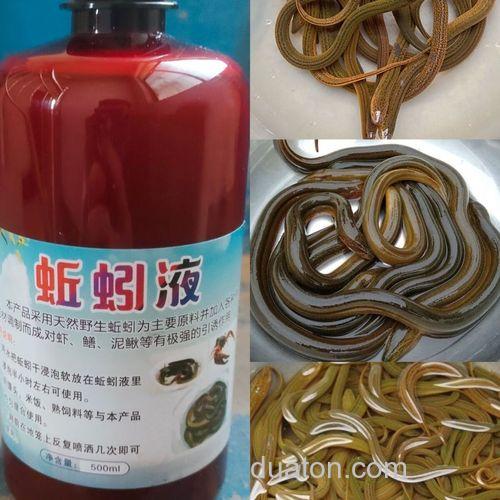 蚯蚓液配什么饵料最好?