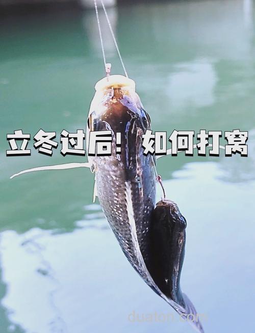 冬季提前打窝钓不到鱼都难钓吗？