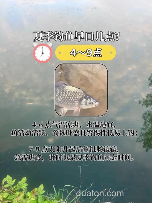 初夏钓鲫鱼出钓必有收获的几个钓点