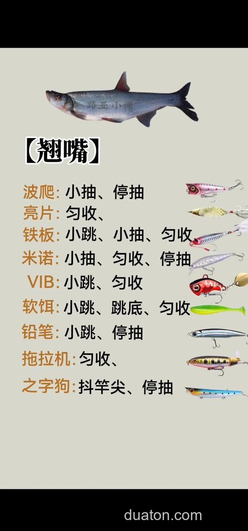 路亚钓鱼配方？
