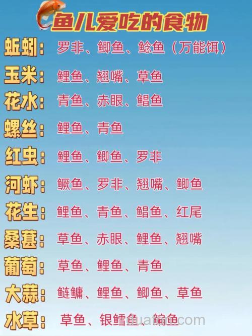 钓鱼 鱼食怎么配