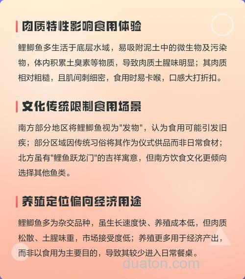 鲤鲫鱼为什么没人吃鲤鲫鱼
