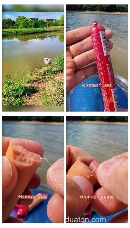 火腿肠钓鱼绝密配方?