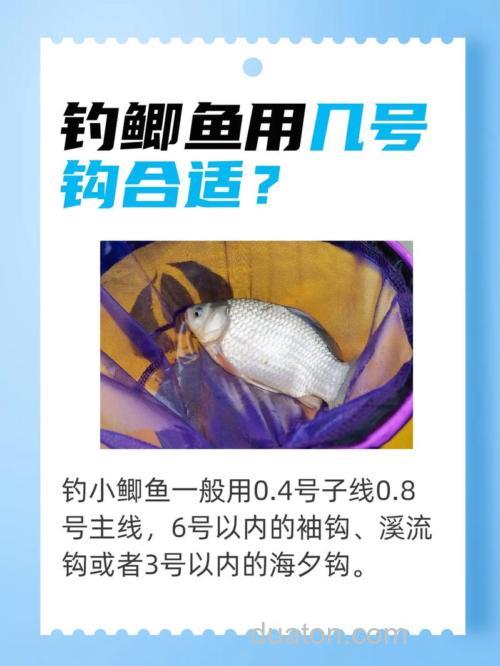 冬季钓鲫鱼用几号线和几号钩最合适?