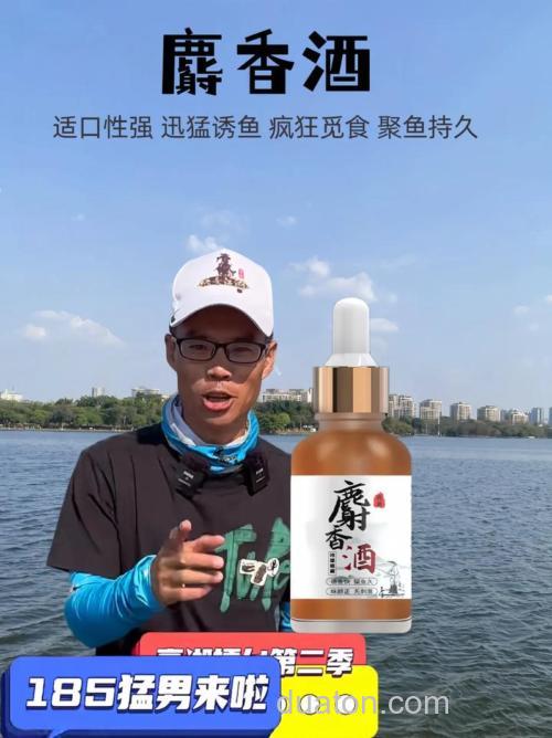 麝香饵料适合钓什么鱼,什么季节用