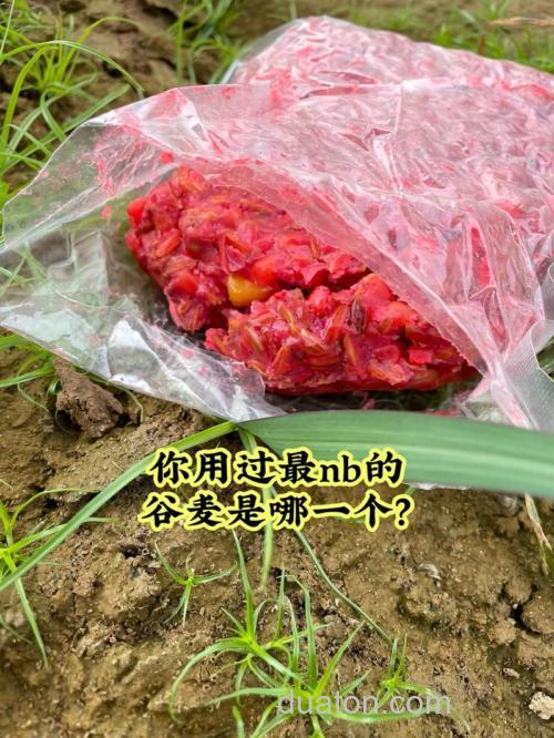 钓友公认十款最好谷麦?