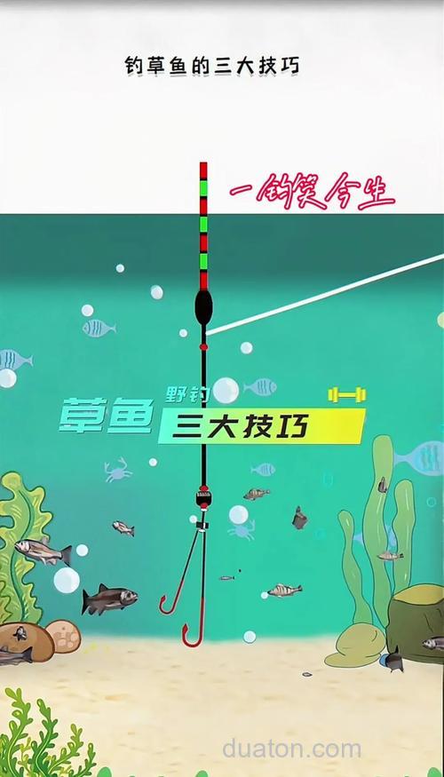 饵料钓草鱼子线长度和钩距?