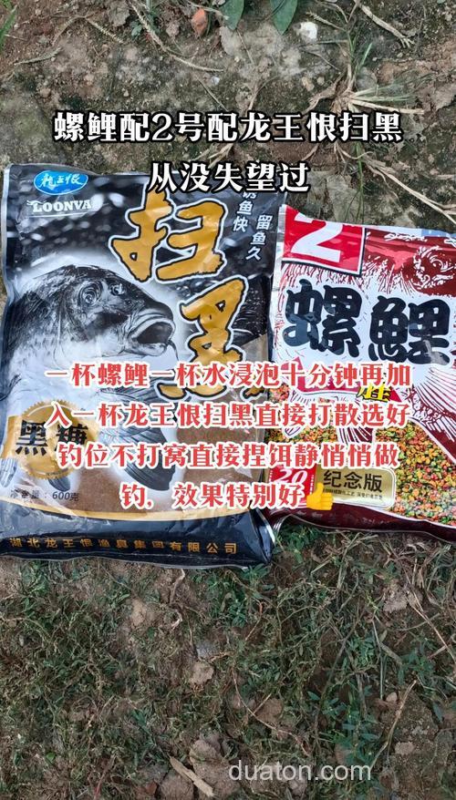 钓鲤鱼用什么窝料最好