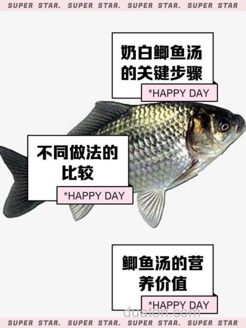揭秘:白鲫鱼不宜多吃的缘由