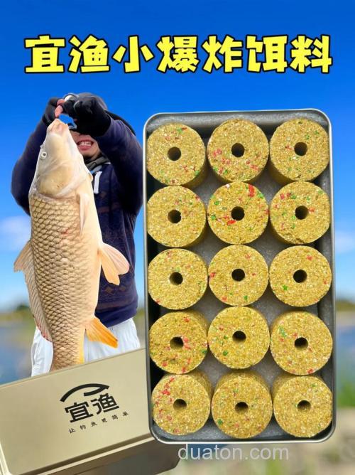 海竿用什么饵料不易掉？