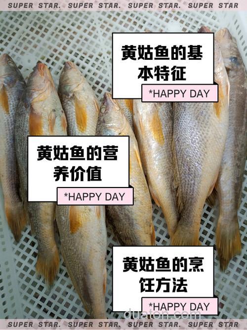 黄姑鱼知识大揭秘:俗称、海鱼身份全知晓