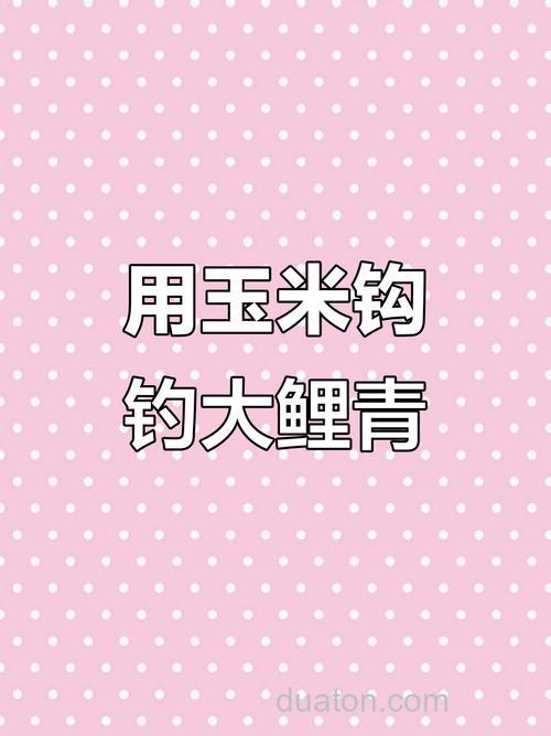 钓鱼:玉米钓鲤鱼草鱼,效果好到爆,你真的会用么