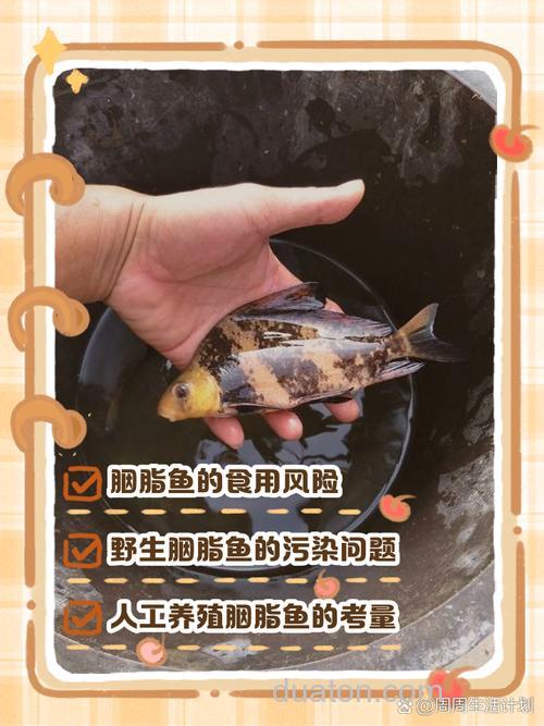 胭脂鱼怎样做好吃又简单?