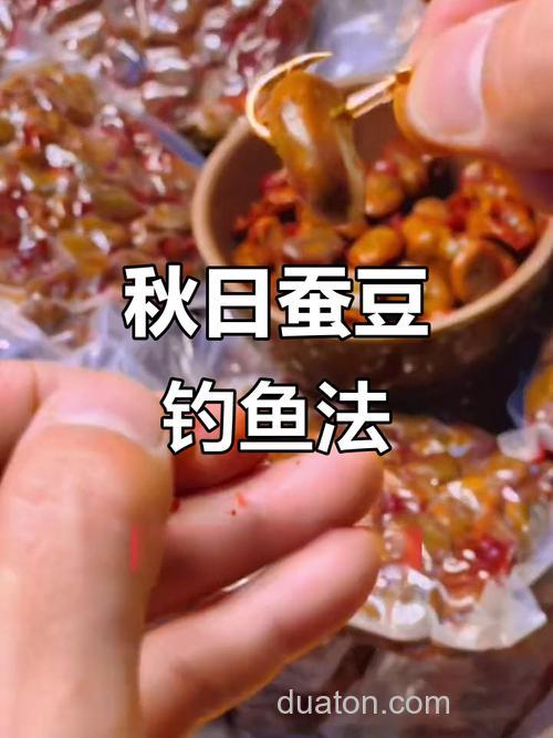 蚕豆钓乌青制作方法?