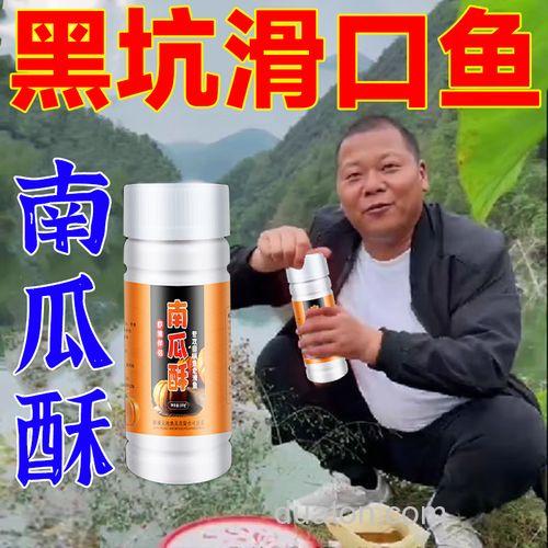 南瓜酥钓鲤鱼配合什么散炮?