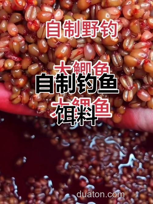 小麦粒钓鲫鱼怎样挂钩??
