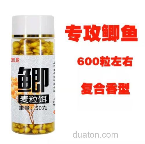 小鲫鱼吃麦粒吗?