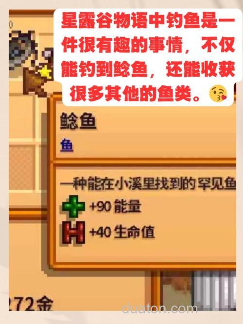 星露谷物语鲶鱼在哪钓?