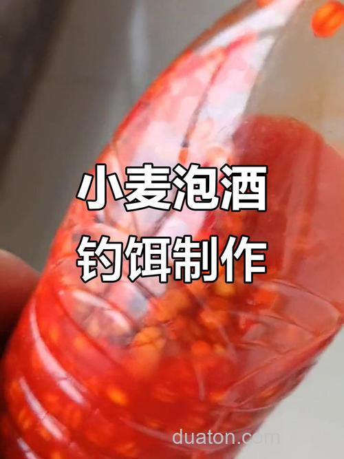 小麦用什么泡钓鱼最好