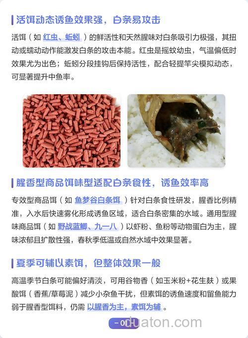 钓白条用什么味的饵料最快最好?