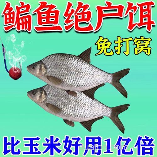 野钓大鳊鱼草鱼(窝料简单实用)