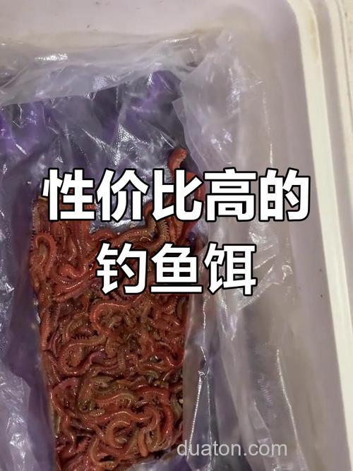 海竿钓鱼用什么饵料?