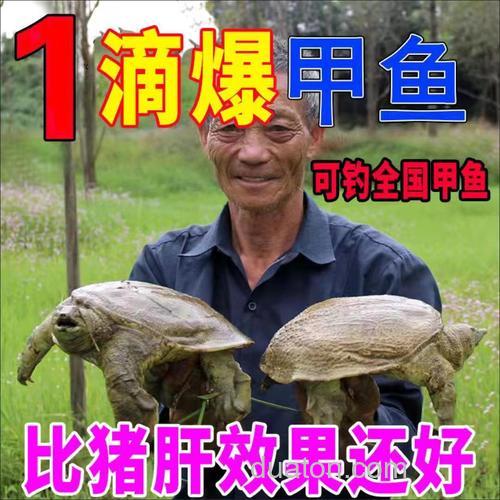 钓甲鱼专用饵料?