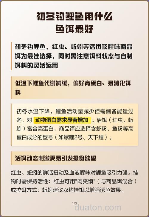冬钓鲤鱼用什么做饵比较好