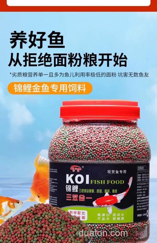 什么鱼颗粒料好?